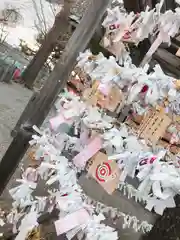 二柱神社のおみくじ