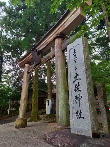 土佐神社の鳥居