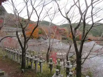 南法華寺（壷阪寺）(奈良県)