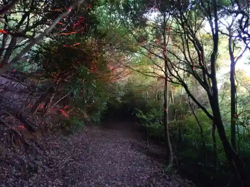 大元神社（宇佐神宮奥宮）(大分県)