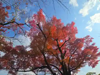 徳乗坊(滋賀県)
