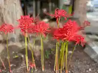 弘安寺(福島県)