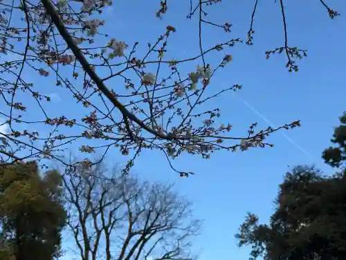 熱田神宮の{uncategorized: "未分類", other: "その他", undefined: "問題あり", building: "その他建物", grave: "お墓", sacred_gate: "鳥居", guardian: "狛犬", statue: "像", buddha: "仏像", history: "歴史", nature: "自然", garden: "庭園", animal: "動物", pagoda: "塔", temizu: "手水舎", mountain_gate: "山門・神門", sanctuary: "本殿・本堂", subordinate: "末社・摂社", art: "芸術", scenery: "景色", jizo: "地蔵", ema: "絵馬", goshuin: "御朱印", omikuji: "おみくじ", items: "授与品その他", amulet: "お守り", goshuincho: "御朱印帳", eats: "食事", festival: "お祭り", votive_dance: "神楽", shichigosan: "七五三参", wedding: "結婚式", experience: "体験その他", initially: "初詣", around: "周辺", anti_infection: "感染症対策"}