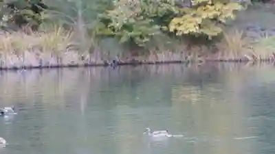 鹿苑寺(金閣寺)(京都府)