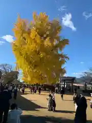 丹生酒殿神社の自然