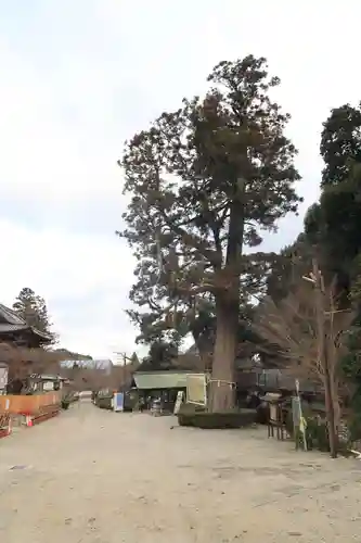 金剛寺のその他建物