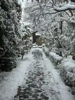 大光院の{uncategorized: "未分類", other: "その他", undefined: "問題あり", building: "その他建物", grave: "お墓", sacred_gate: "鳥居", guardian: "狛犬", statue: "像", buddha: "仏像", history: "歴史", nature: "自然", garden: "庭園", animal: "動物", pagoda: "塔", temizu: "手水舎", mountain_gate: "山門・神門", sanctuary: "本殿・本堂", subordinate: "末社・摂社", art: "芸術", scenery: "景色", jizo: "地蔵", ema: "絵馬", goshuin: "御朱印", omikuji: "おみくじ", items: "授与品その他", amulet: "お守り", goshuincho: "御朱印帳", eats: "食事", festival: "お祭り", votive_dance: "神楽", shichigosan: "七五三参", wedding: "結婚式", experience: "体験その他", initially: "初詣", around: "周辺", anti_infection: "感染症対策"}