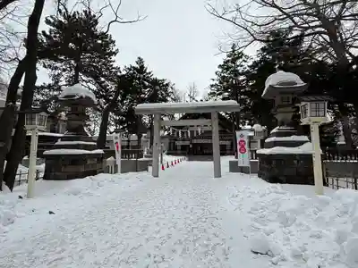 新琴似神社の初詣