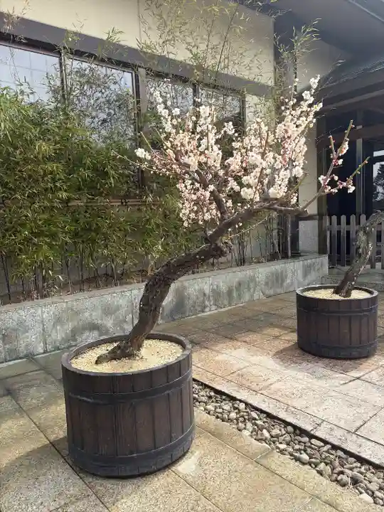 岩津天満宮(愛知県)