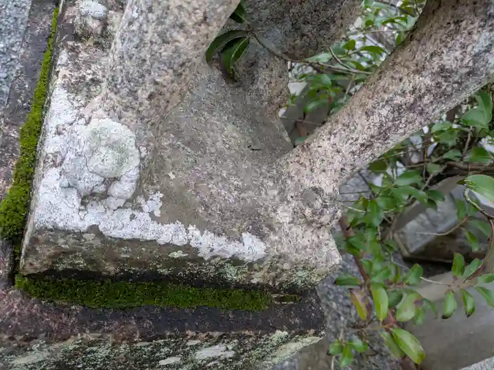 琴崎八幡宮(山口県)