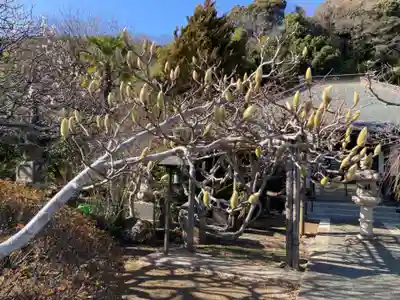 金龍寺(神奈川県)