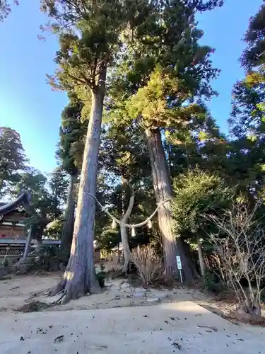 山倉大神(千葉県)