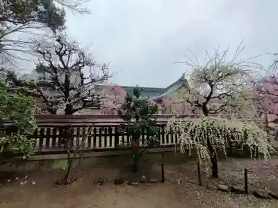 結城神社のその他建物