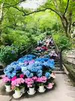 長谷寺のその他建物