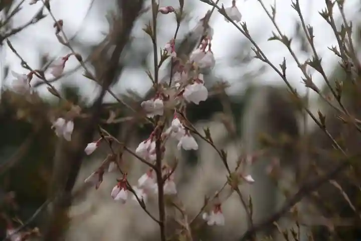 開成山大神宮の庭園