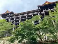 清水寺の本殿・本堂
