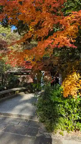 宇治上神社の山門・神門