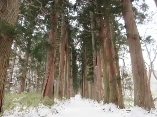 戸隠神社奥社の景色