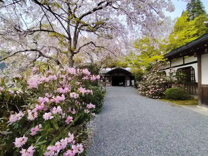 三千院門跡(京都府)