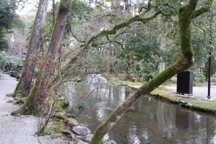 賀茂別雷神社(上賀茂神社)(京都府)