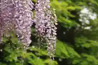 神炊館神社 ⁂奥州須賀川総鎮守⁂の庭園