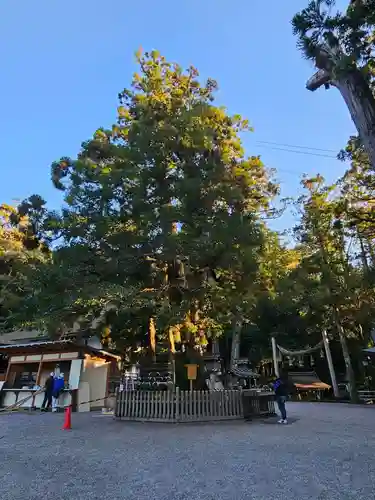 大神神社(奈良県)