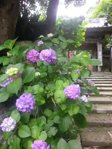 岩殿寺の自然