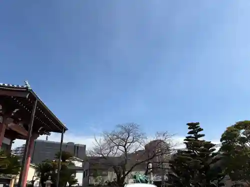 円照寺(大阪府)