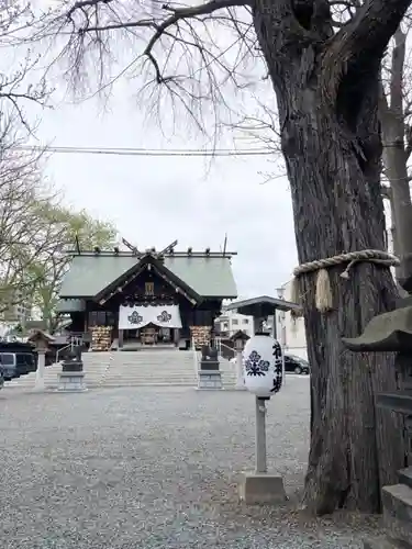 札幌諏訪神社の本殿・本堂