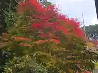 日間神社(兵庫県)