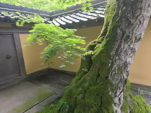 西明寺(滋賀県)