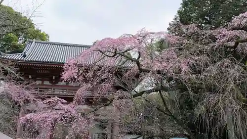 醍醐寺(京都府)