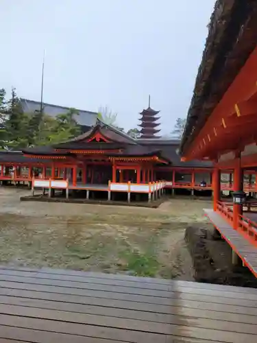 厳島神社(広島県)