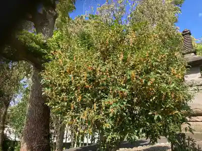 吉祥院(東京都)