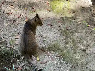 神戸神社(三重県)