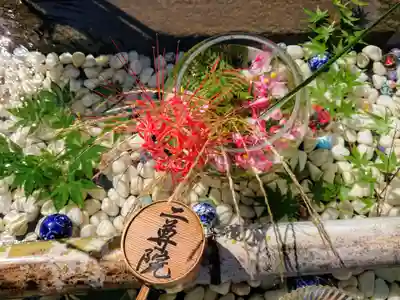 二尊院(京都府)