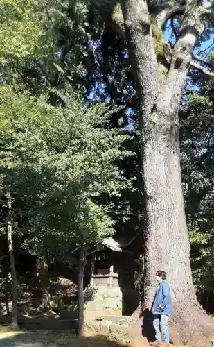 居神神社(神奈川県)