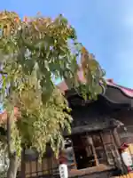 大鏑神社の本殿・本堂