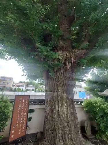 宗仲寺(神奈川県)