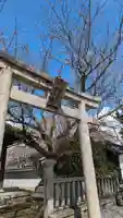 本満寺(本願満足寺)(京都府)