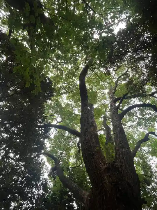 玉川神社(東京都)