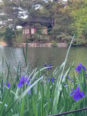 厳島神社(東京都)