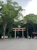 明治神宮(東京都)