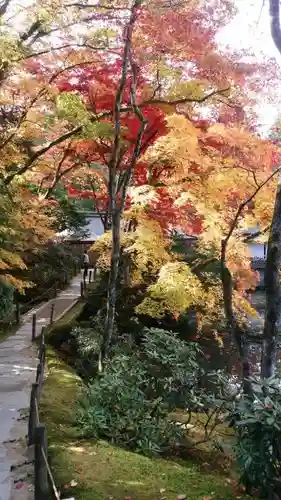 輪王寺の庭園