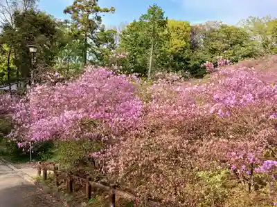 廣田神社(兵庫県)