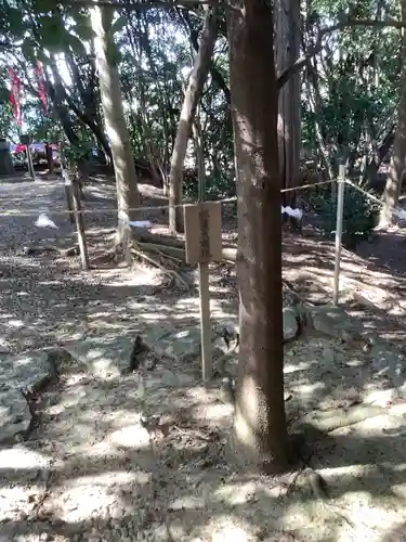 玉鉾神社のその他建物