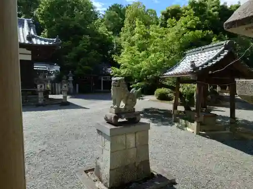 新屋坐天照御魂神社(大阪府)
