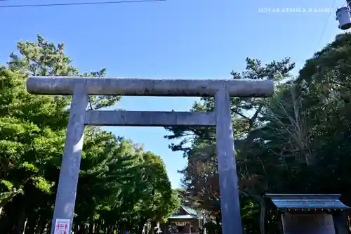 鶴谷八幡宮の鳥居