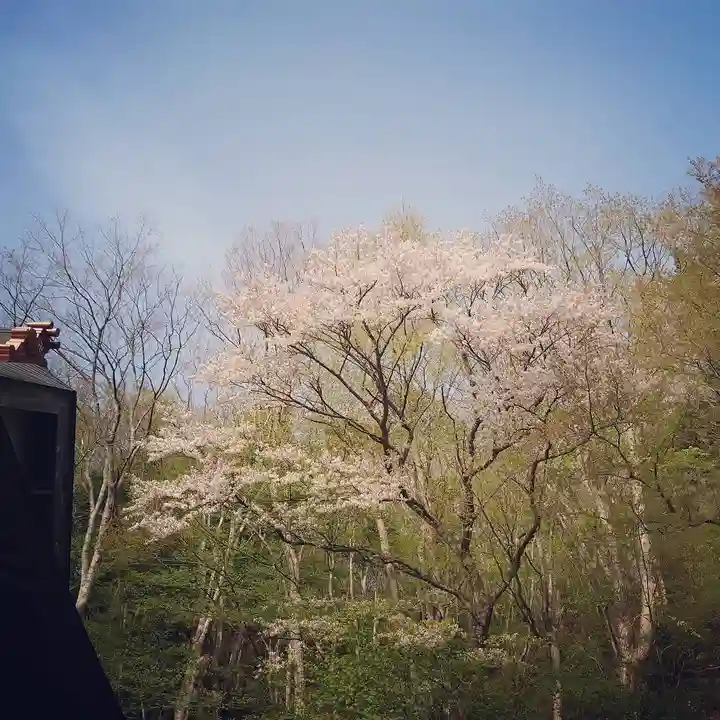 壽徳寺 じゅとくじの自然