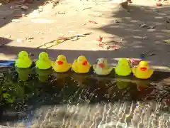 柏諏訪神社の手水